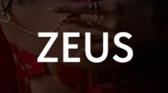  Zeus